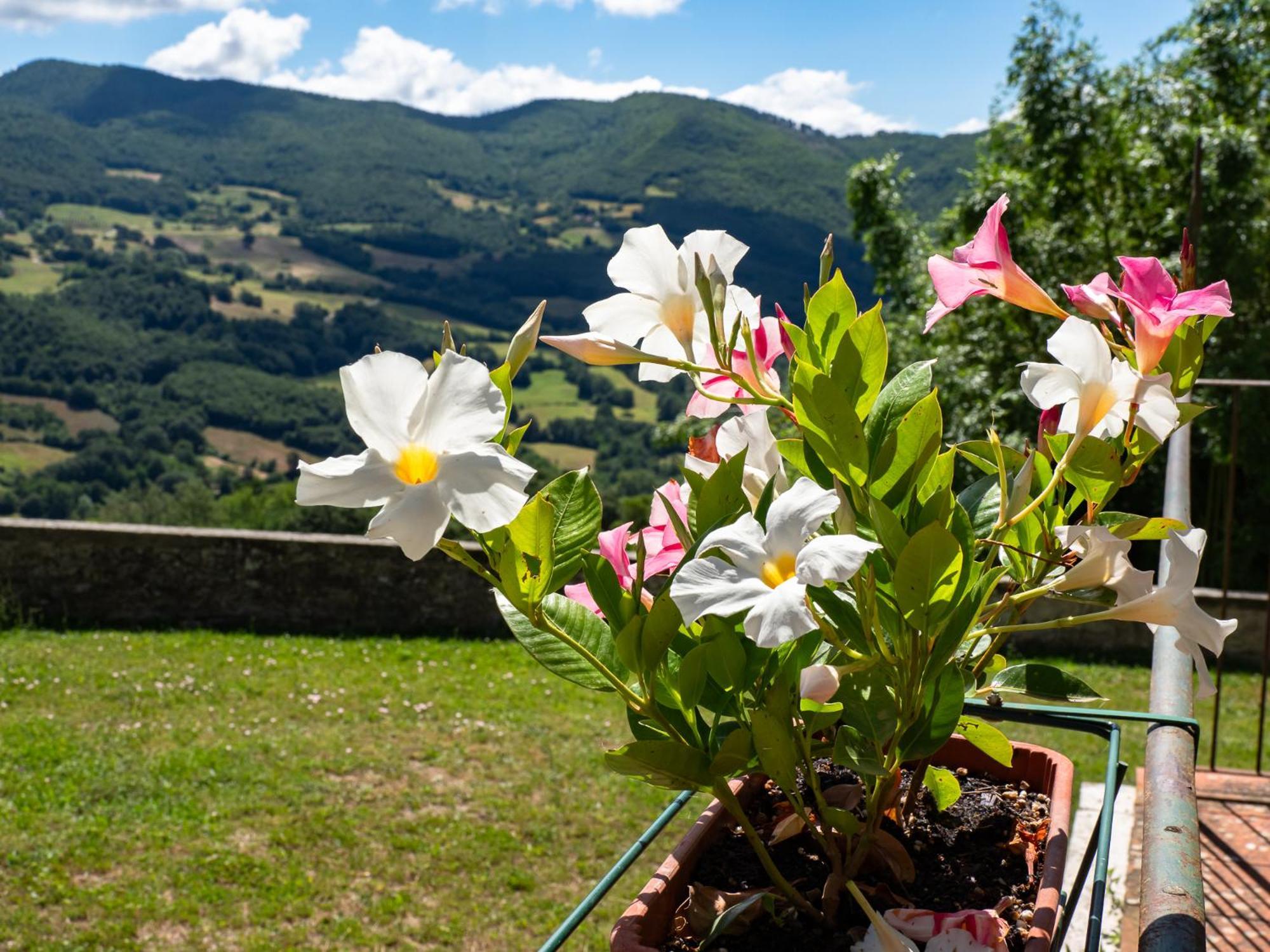 Agriturismo Villaggio Eden Pieve Santo Stefano Eksteriør billede